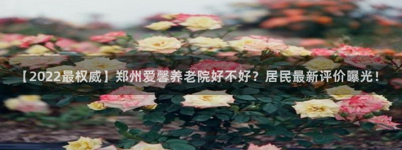 韦德1946下载