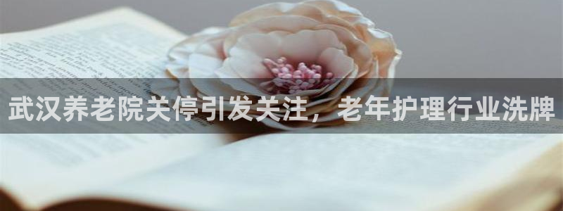 韦德 官网