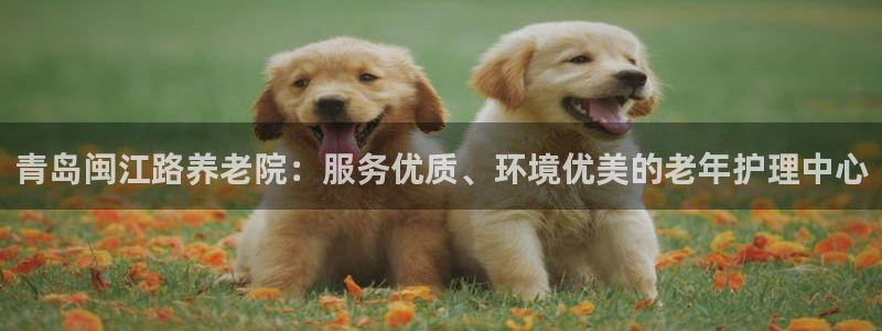 韦德是哪一届