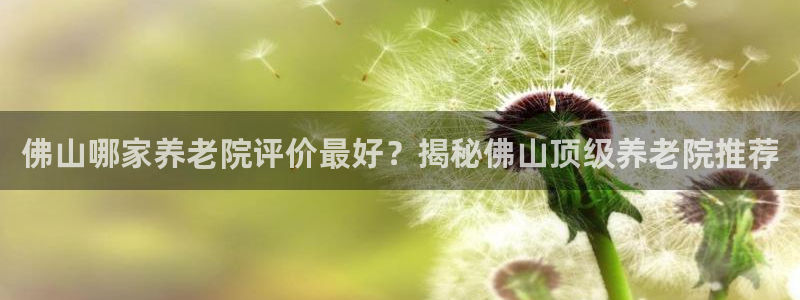韦德游戏是什么