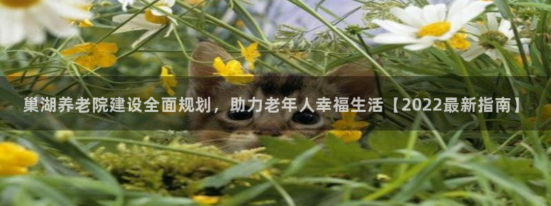 韦德1946网址