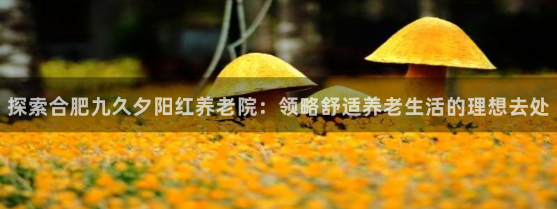 韦德是哪个