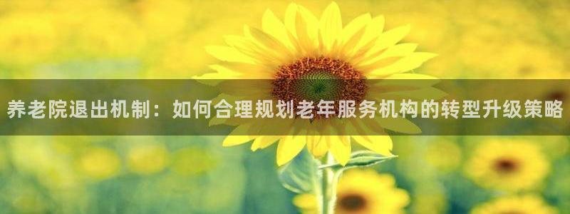 韦德1946国际
