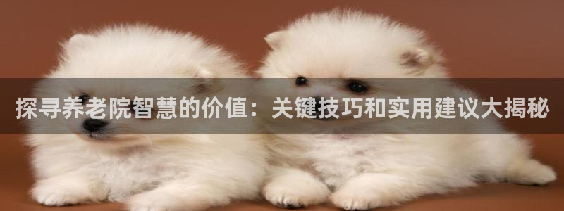 韦德2016