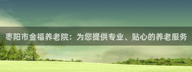 韦德2016