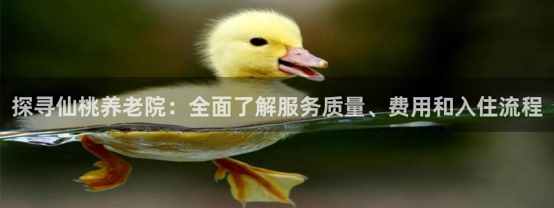 韦德的游戏