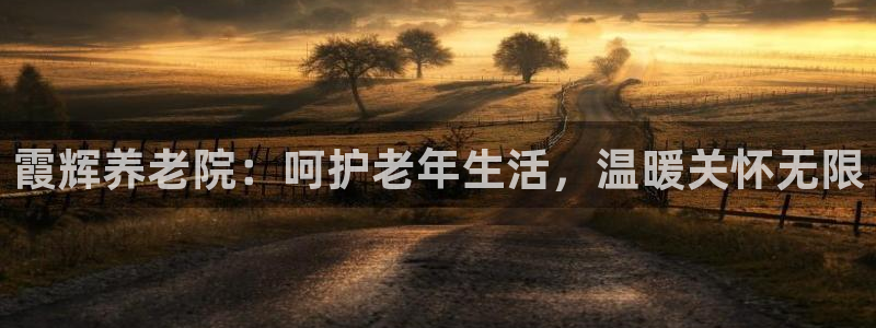 韦德游戏是什么