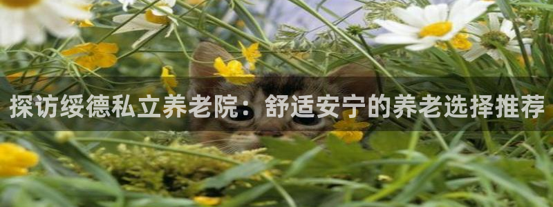 韦德1946娱乐手机版