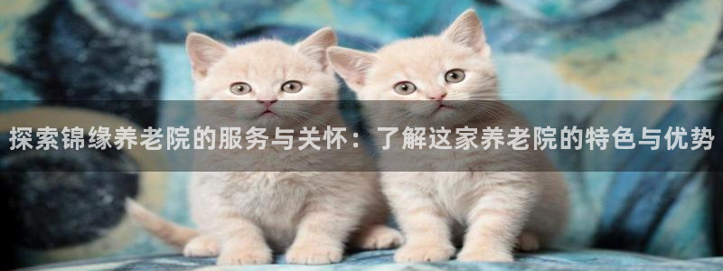 韦德com