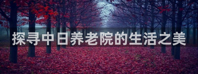 韦德1946官方网站
