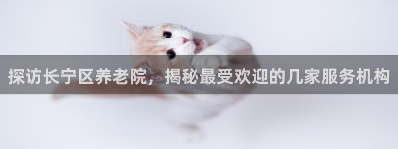 韦德网址