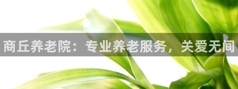 韦德1946国际