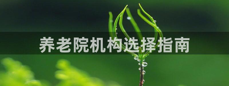 韦德合集