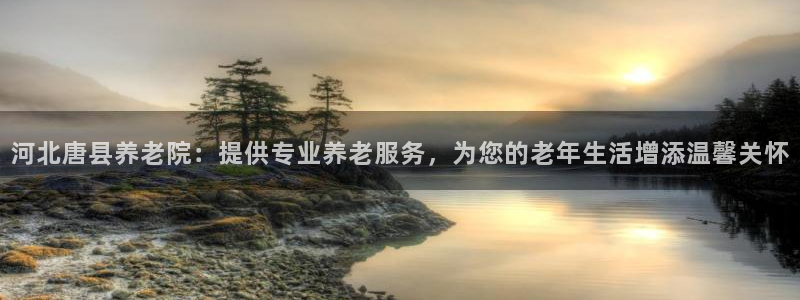 韦德游戏是什么
