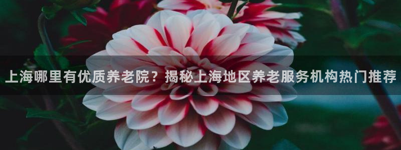 韦德com