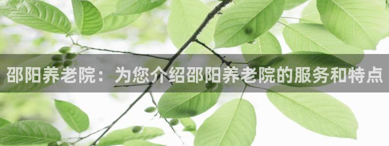 bet韦德1946