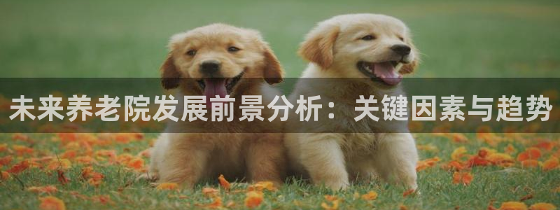 韦德bietview官网