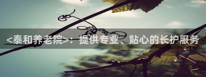 韦德8月22日开启中国行