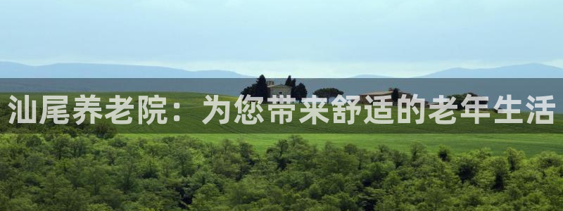 韦德 网站