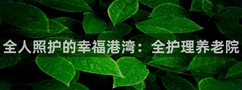 韦德1946体育