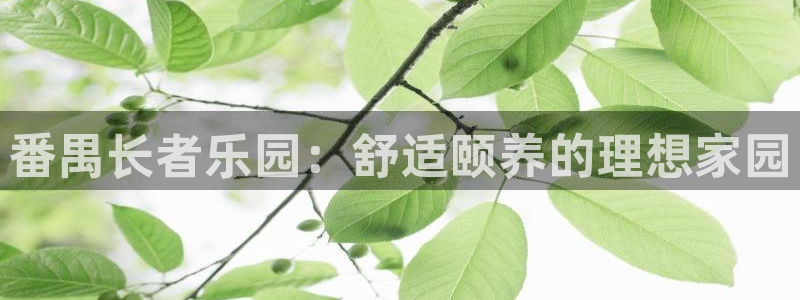韦德官网在线