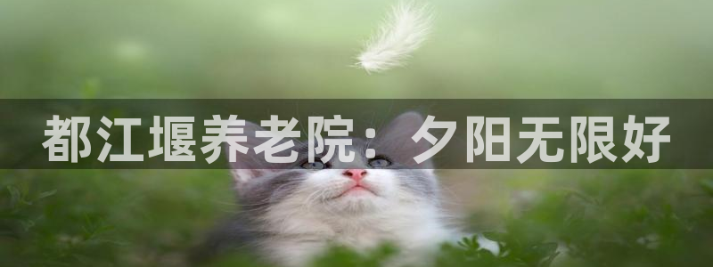 韦德的游戏