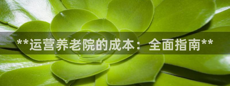韦德 网址