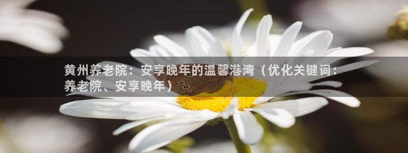1946韦德找回密码