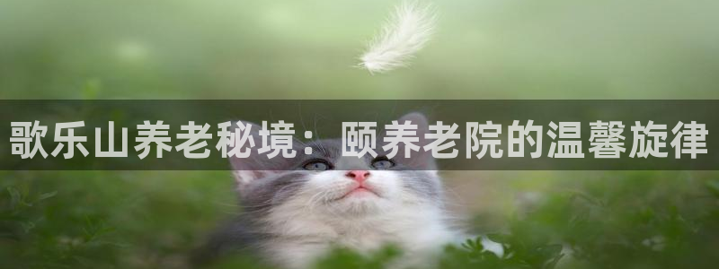 韦德官方网址大全