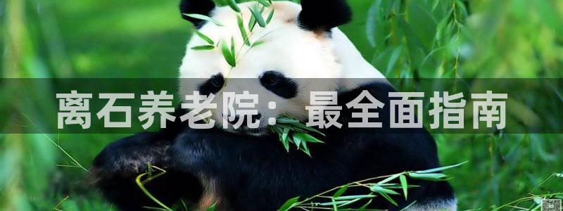 韦德官方网址大全