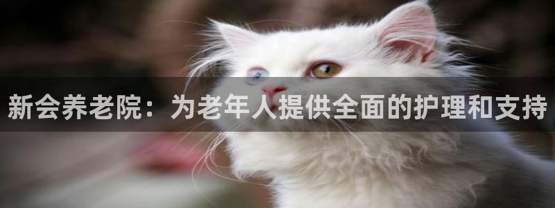 韦德合集