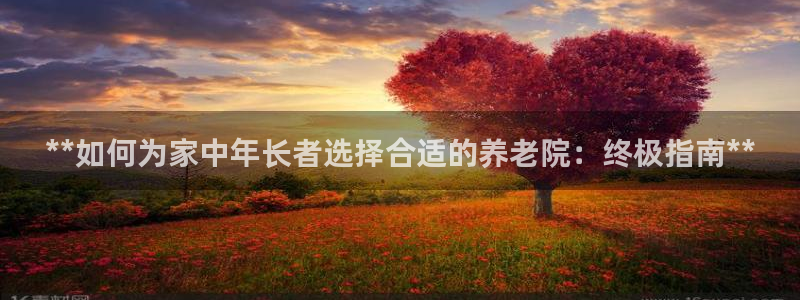 韦德1946手机