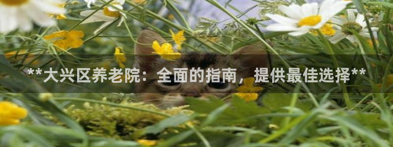 韦德1946下载
