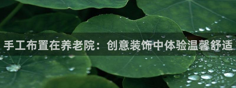 韦德是哪一届