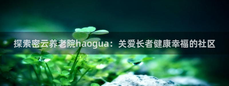 韦德8月22日开启中国行