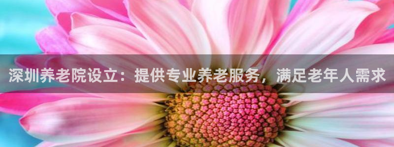 韦德1946备用网站