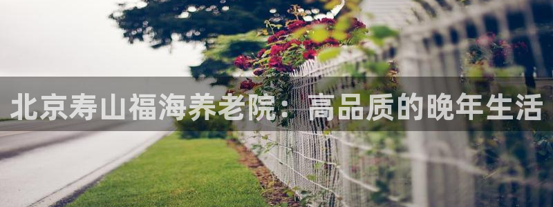 1946 韦德