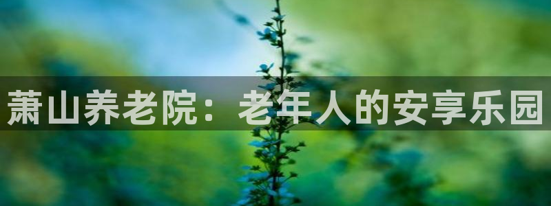 韦德1946网址