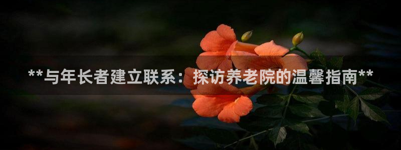 韦德1567