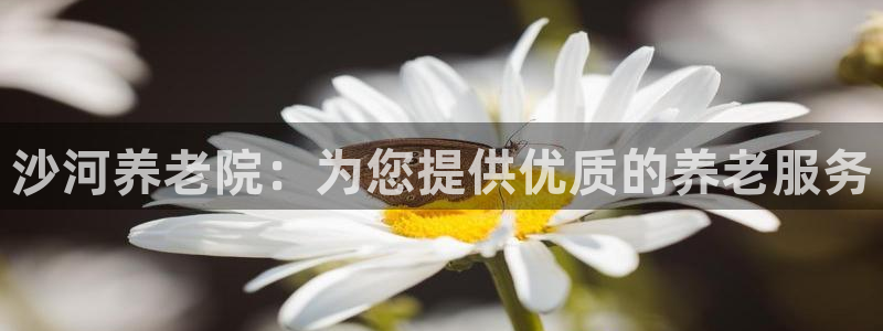 1946韦德官方网站