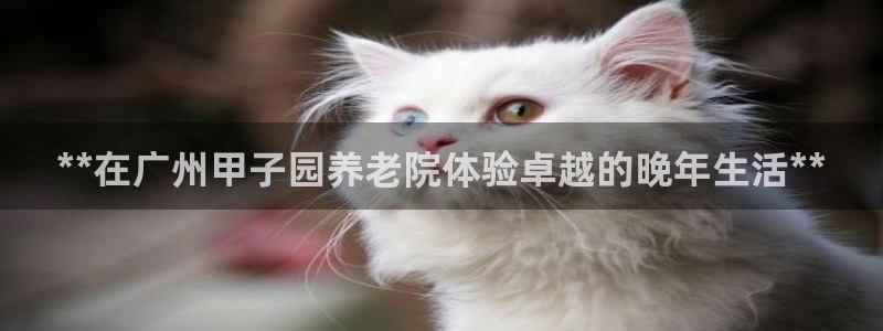 韦德app官方网站