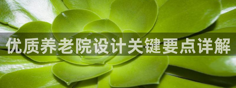 韦德1946网址