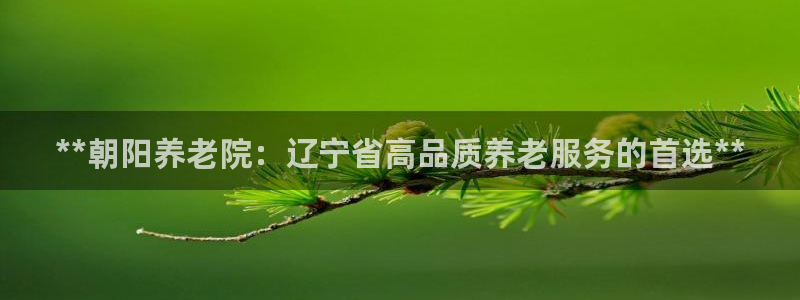 韦德bietview官网